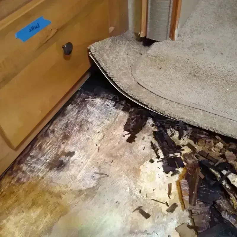 Best Wood Floor Water Damage Service in Mound City, SD